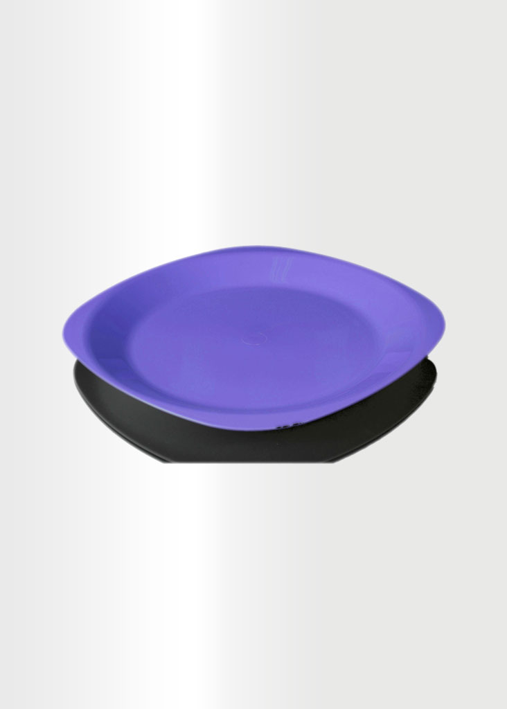 Flat Plate Small Violet