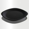 Flat Plate Large Black