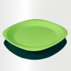 Flat Plate Large Lime