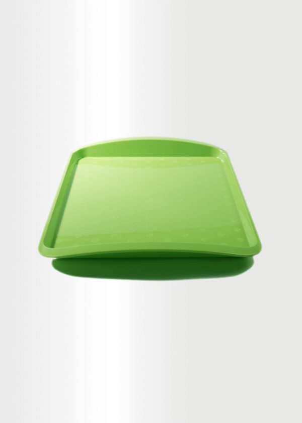 Large Tray Lime
