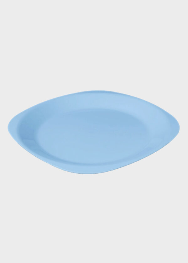 Flat Plate Large Sky Blue Back