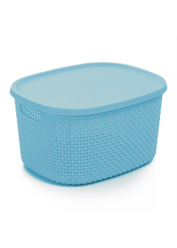 Basket W Cover Large Sky Blue S1
